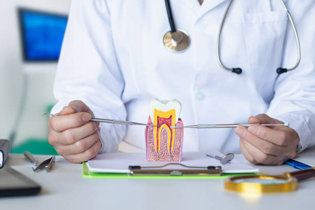 Best Pediatric Emergency Dentist in Mount Gilead, OH